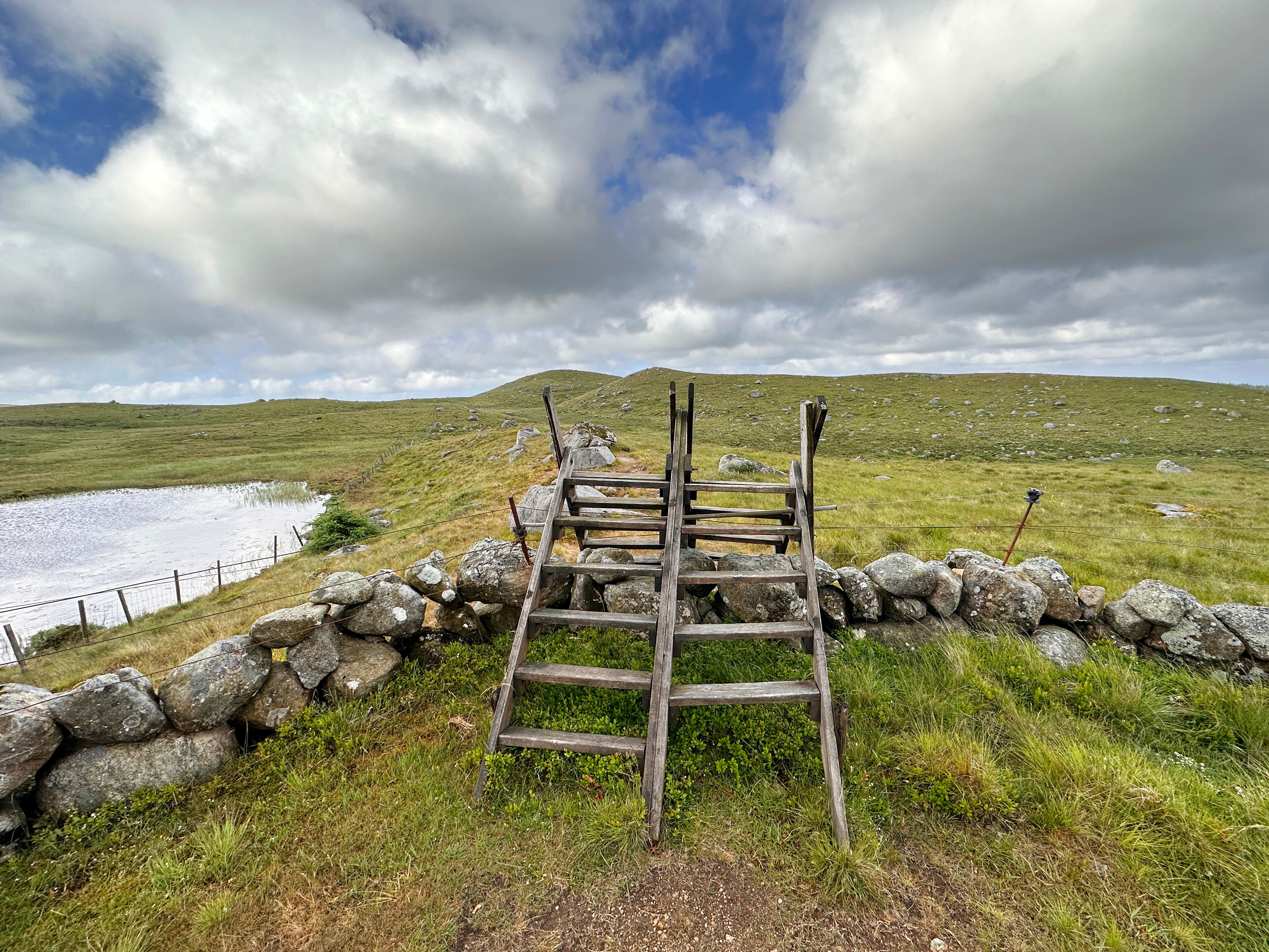 Fence splitter along the hike