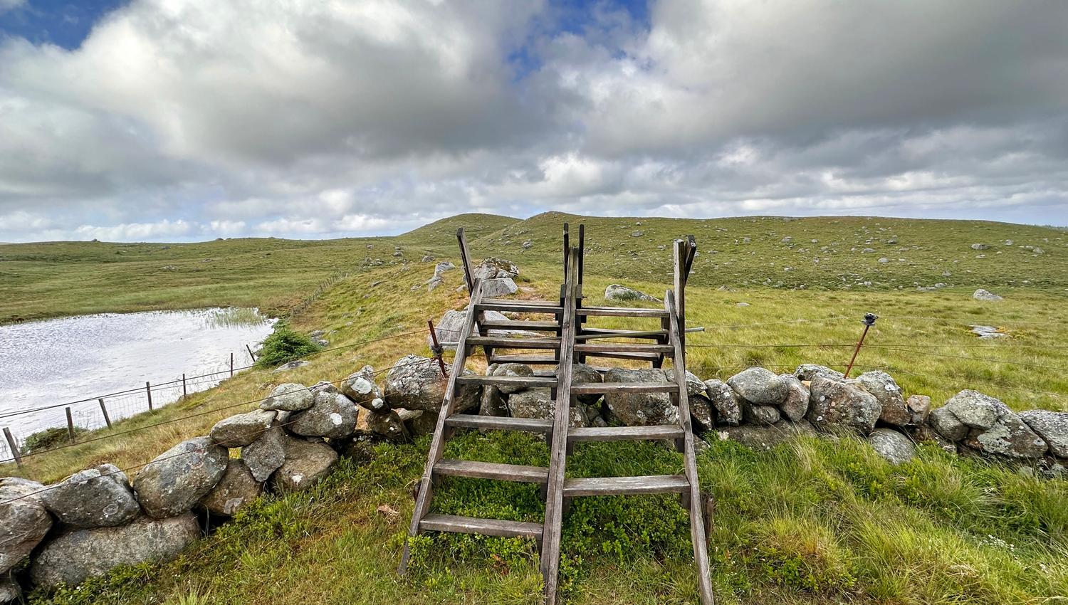 Fence splitter along the hike