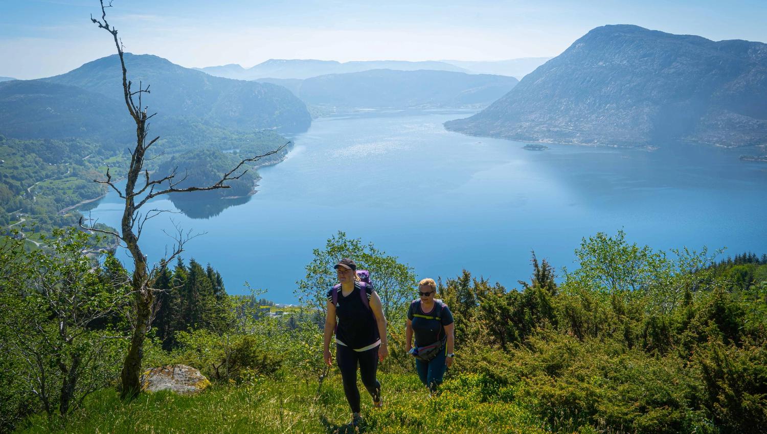 Risnesnipa frå Hovlandstien