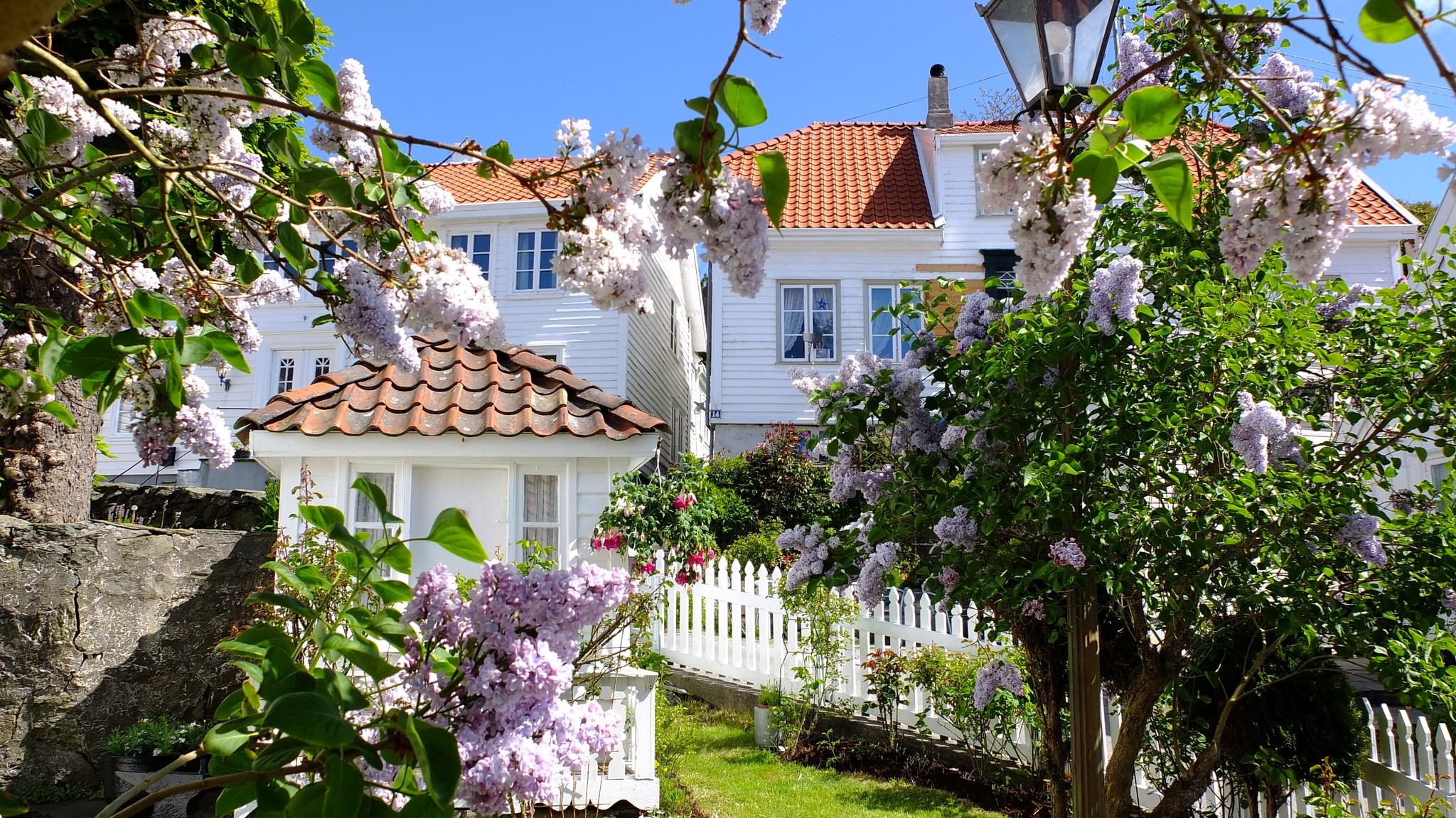 Historic Skudeneshavn