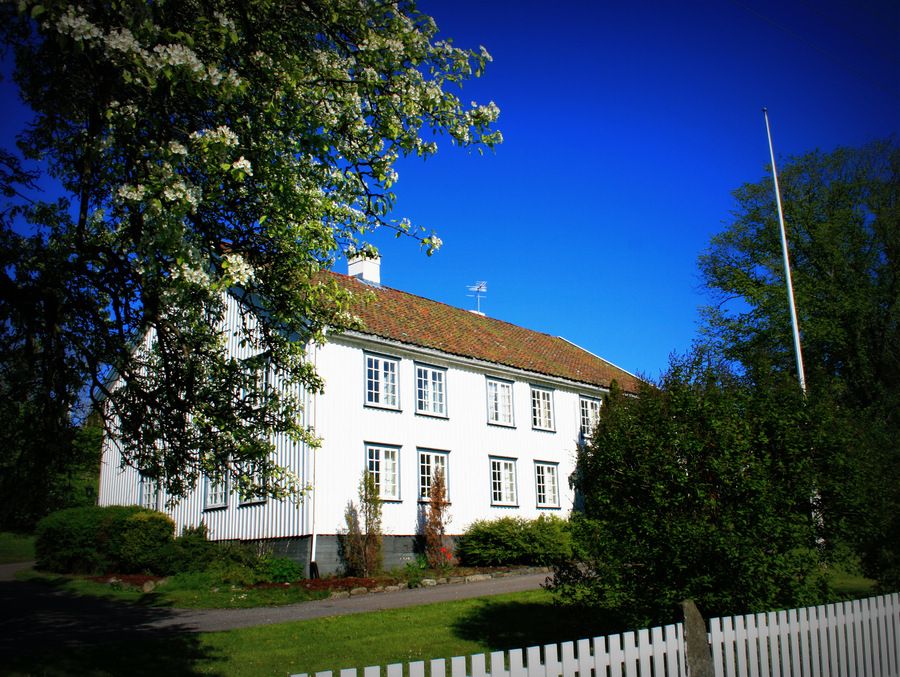 Heia Eidene