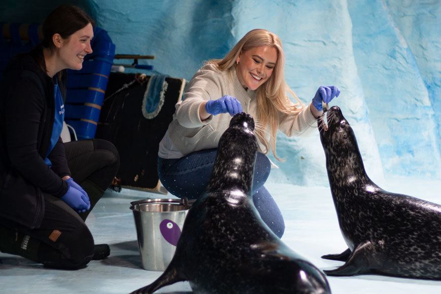 Feeding the seals at Polaria in Tromso
