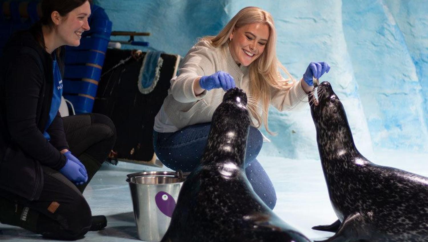 Feeding the seals at Polaria in Tromso