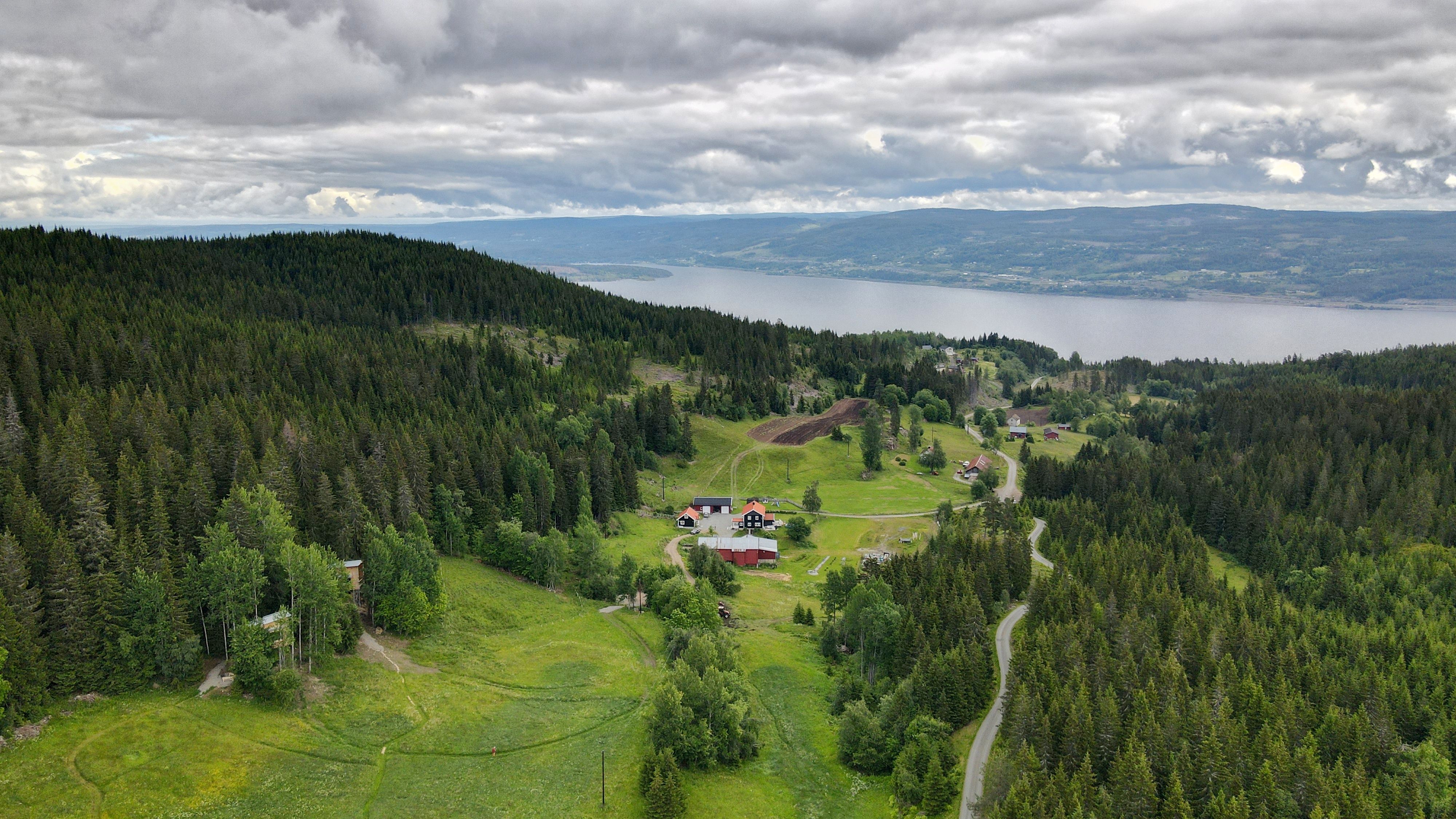 Treettopcabin with overview from a drone, the landscape and the lake mjøsa in the background