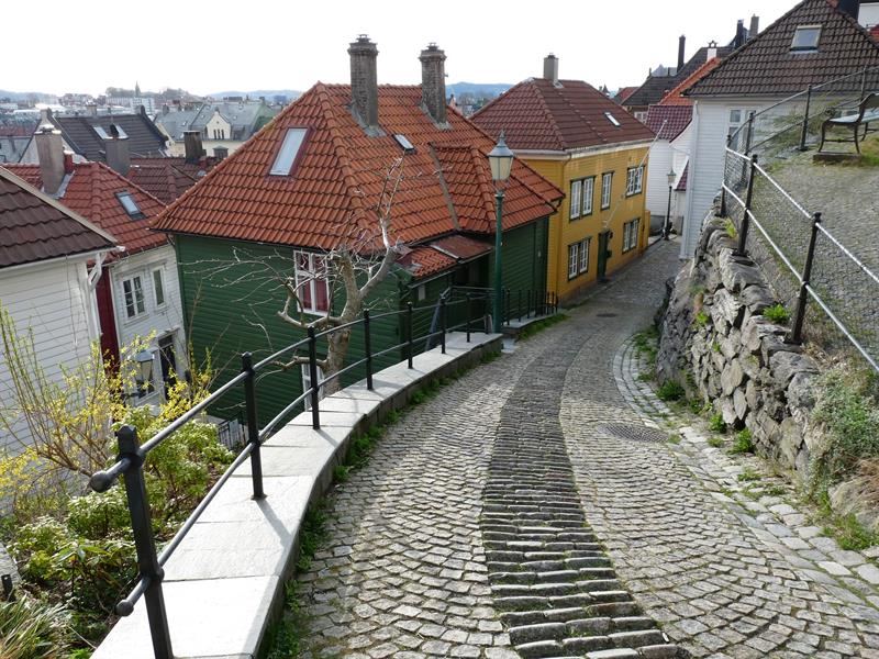 Martins Bergen Tours