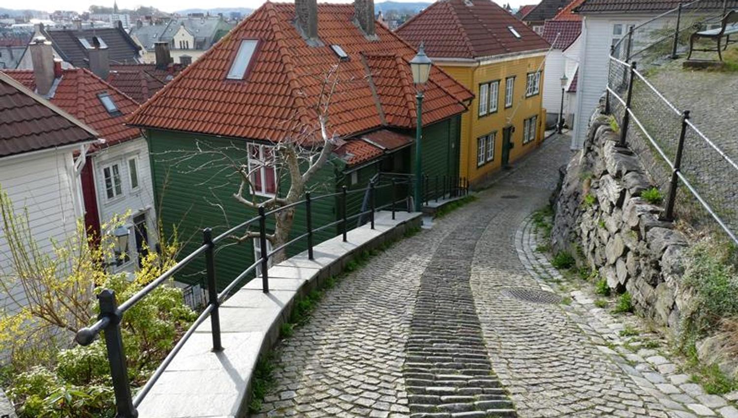 Martins Bergen Tours