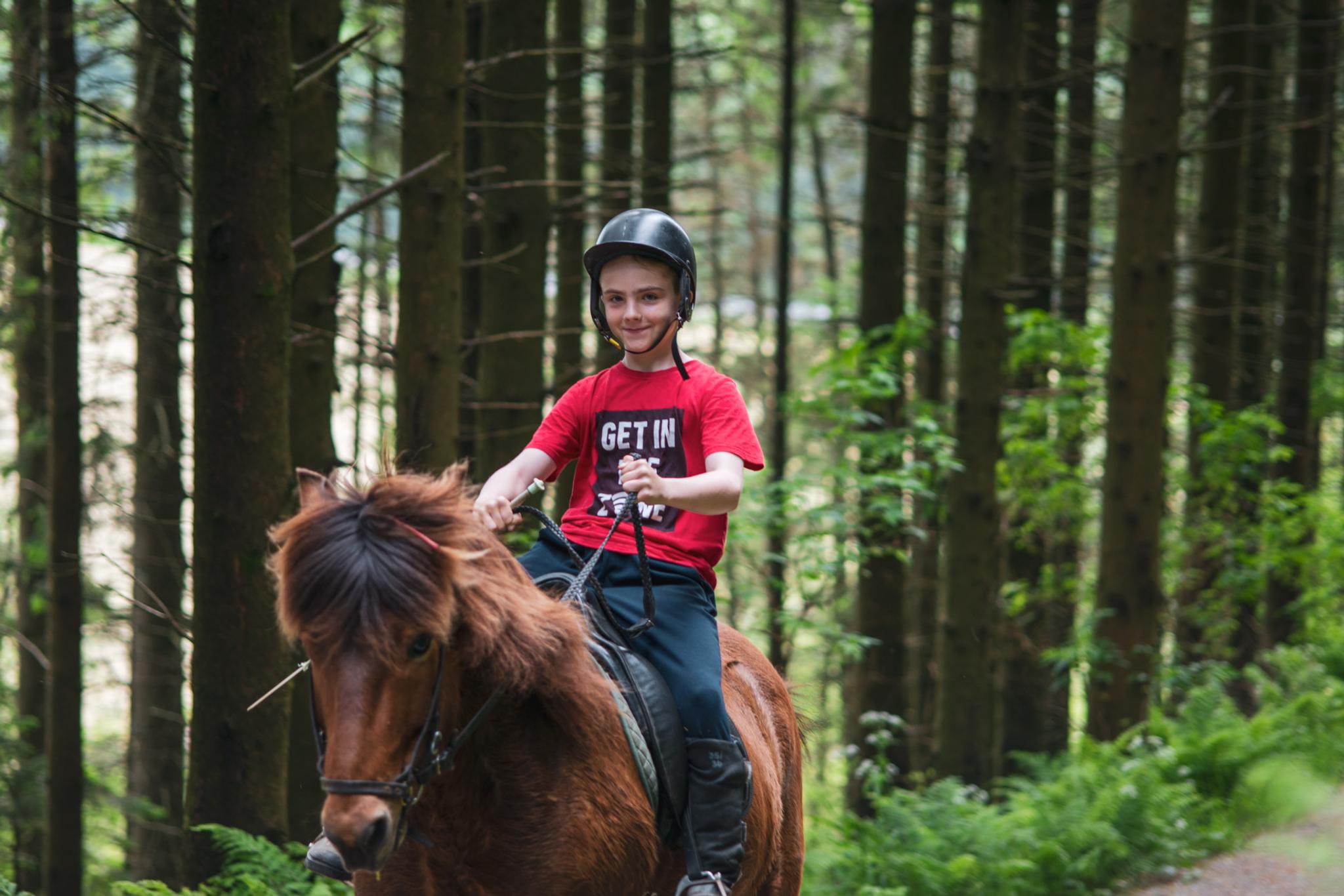 Vagleskogen (forest)