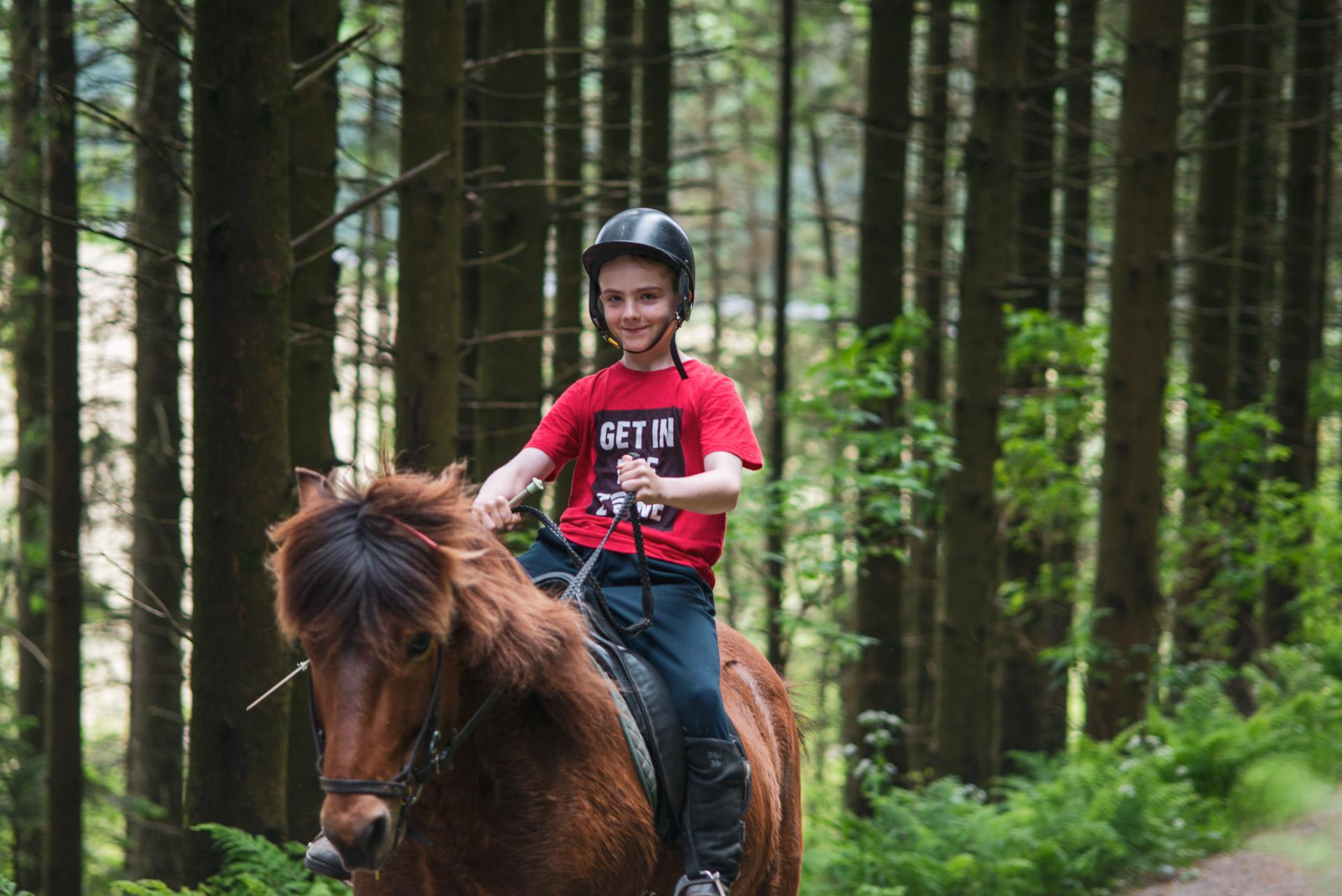 Vagleskogen (forest)