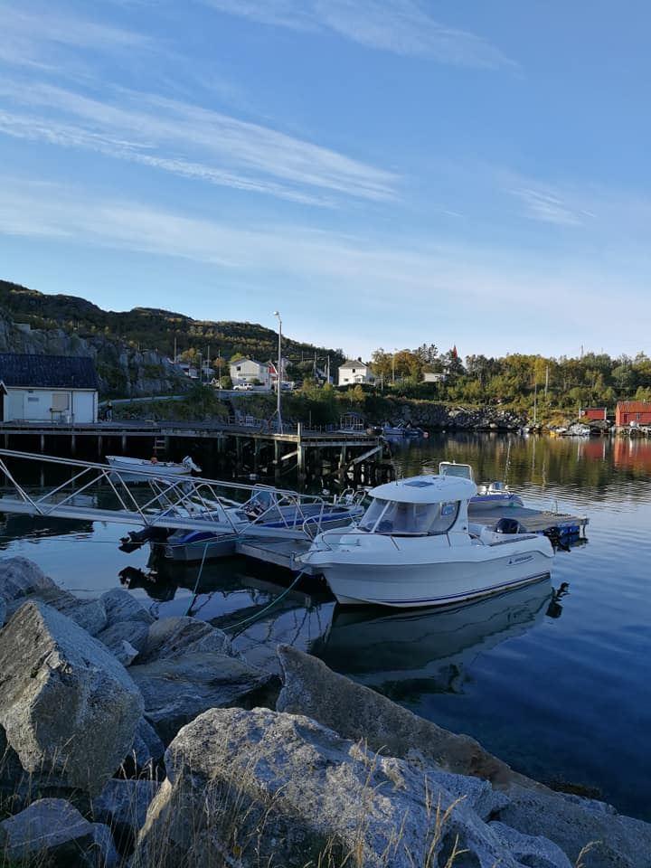pier with boats.