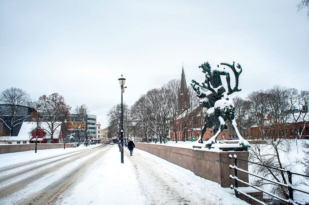 Winter photo of the bridge.