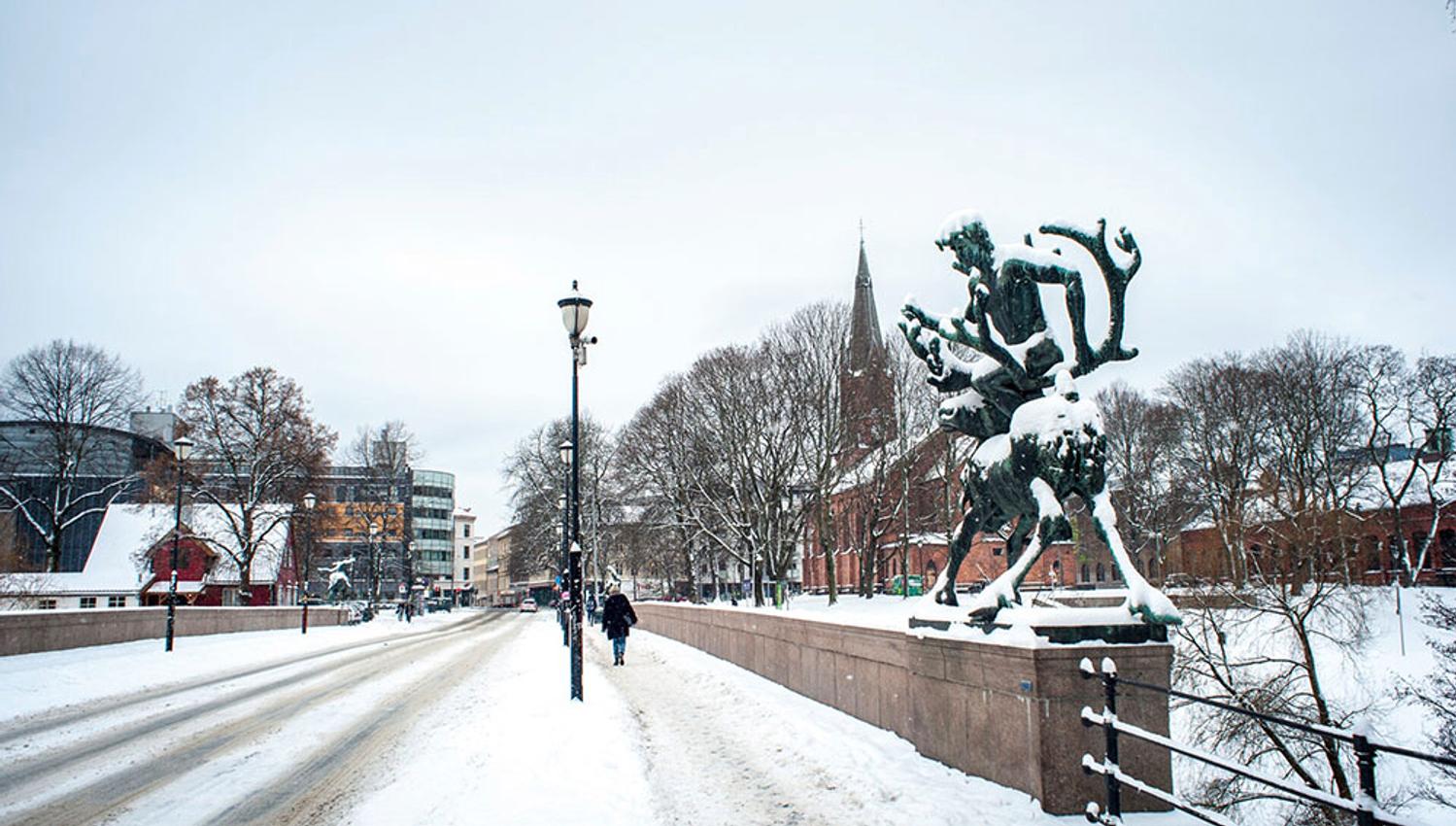 Winter photo of the bridge.