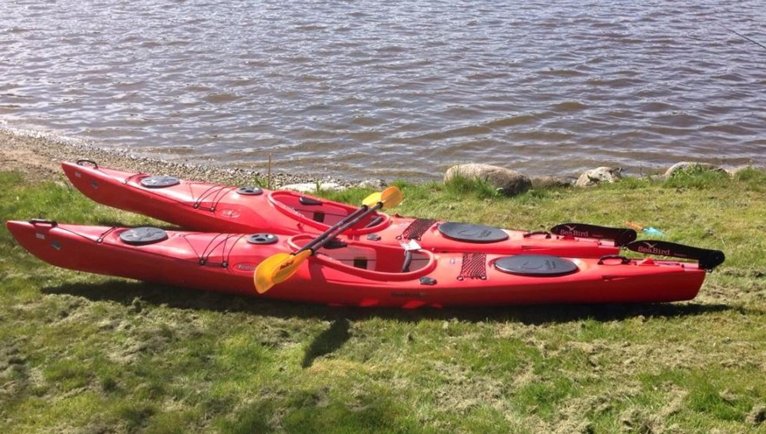 Two kayaks on land