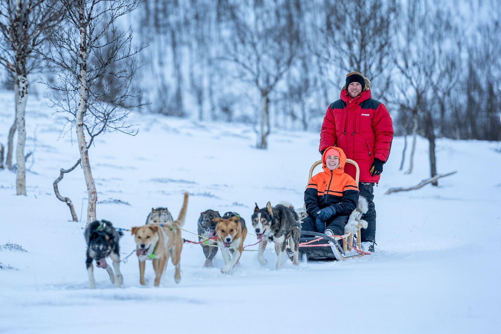 Guests drive dog sled