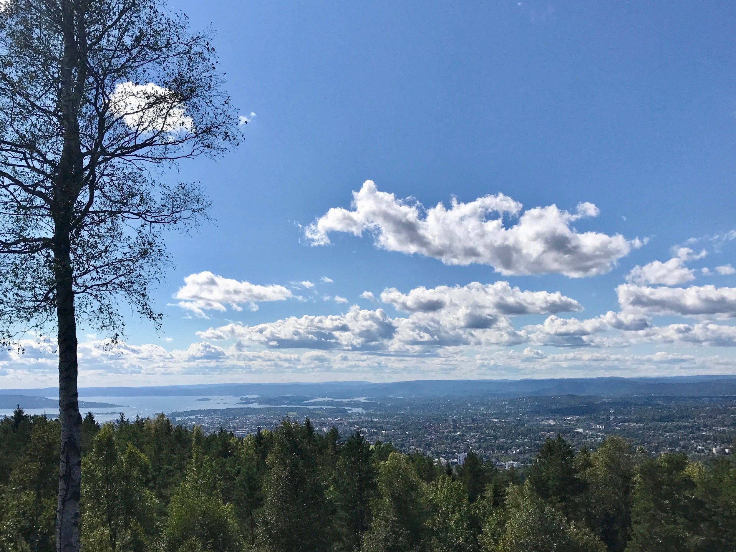 utsikt over oslo, fjorden og nordmarka i fint vær