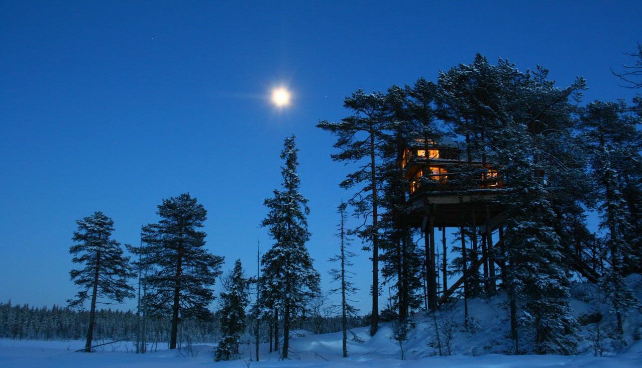 Tretopphyttene Brumunddal måneskinn
