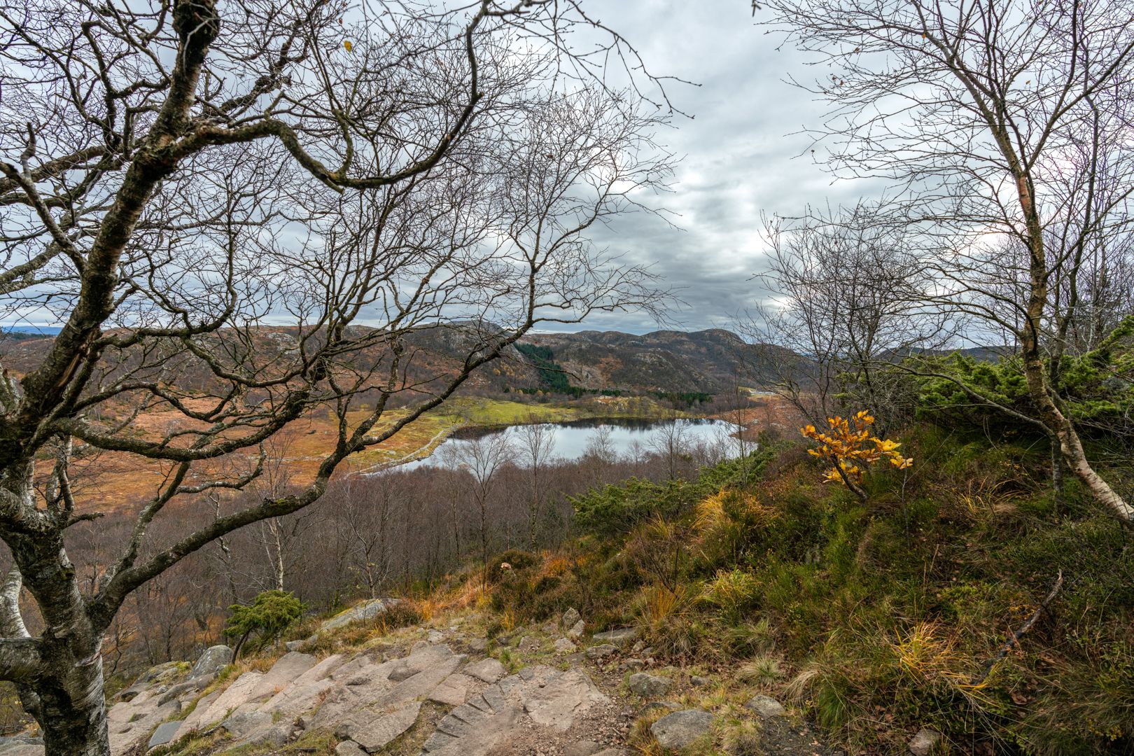 The trail to Dalsnuten with scenic views