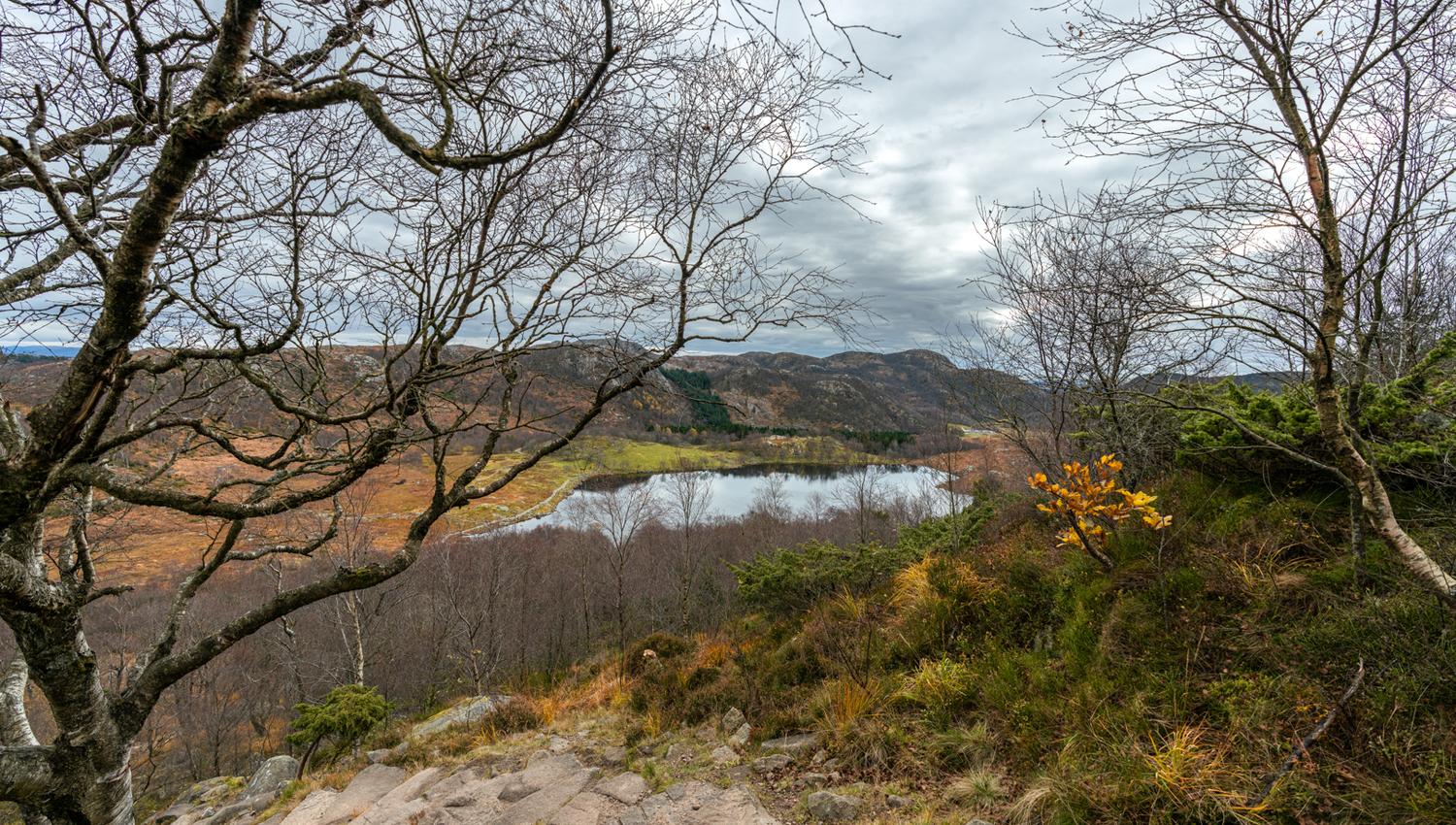 The trail to Dalsnuten with scenic views