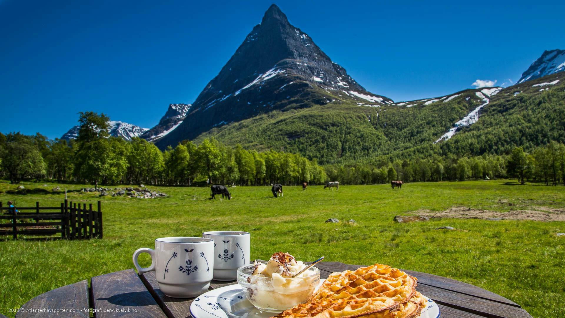 Renndølsetra - Sommeralm Bauernhofhotel in Innerdalen