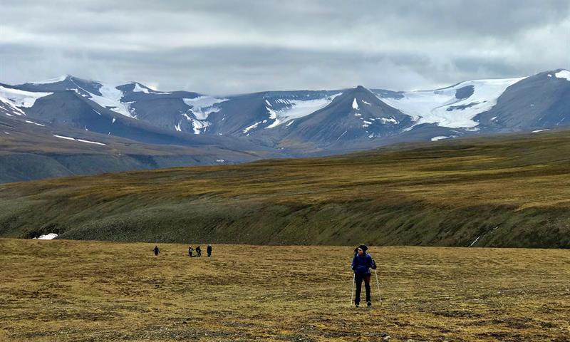 A group of people hiking through a green landscape with snowy mountains in the background