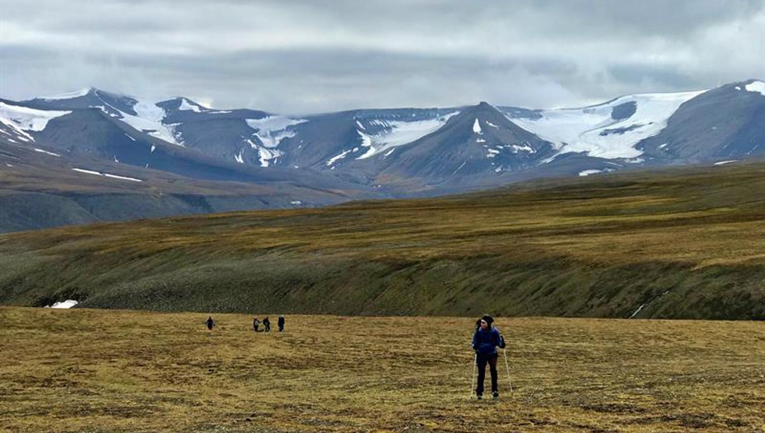 A group of people hiking through a green landscape with snowy mountains in the background