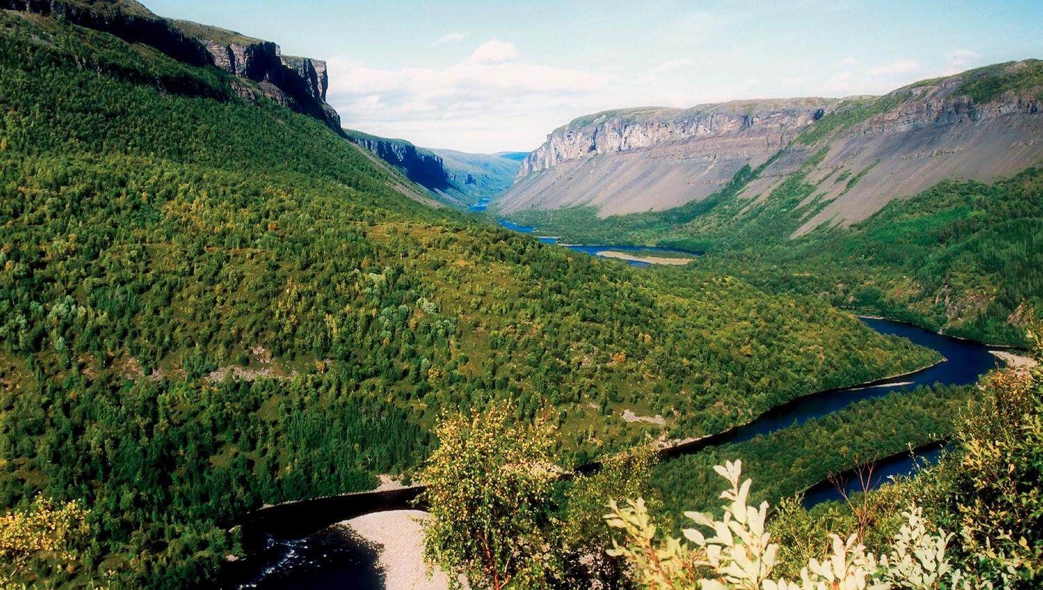 Alta Canyon