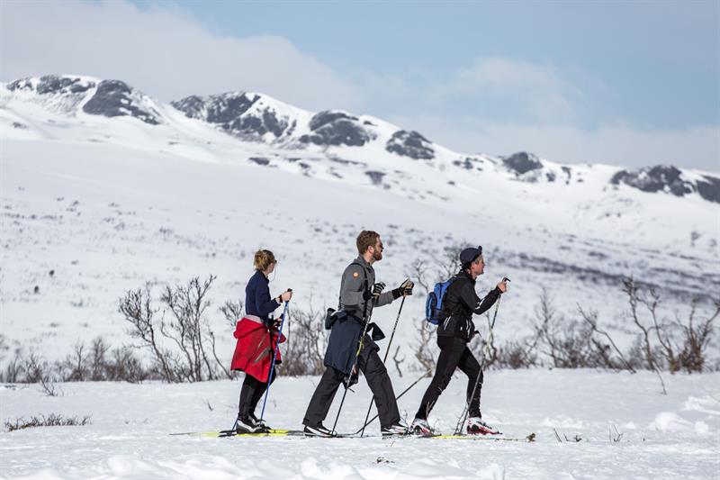 Utsikt mot  "Veggine"