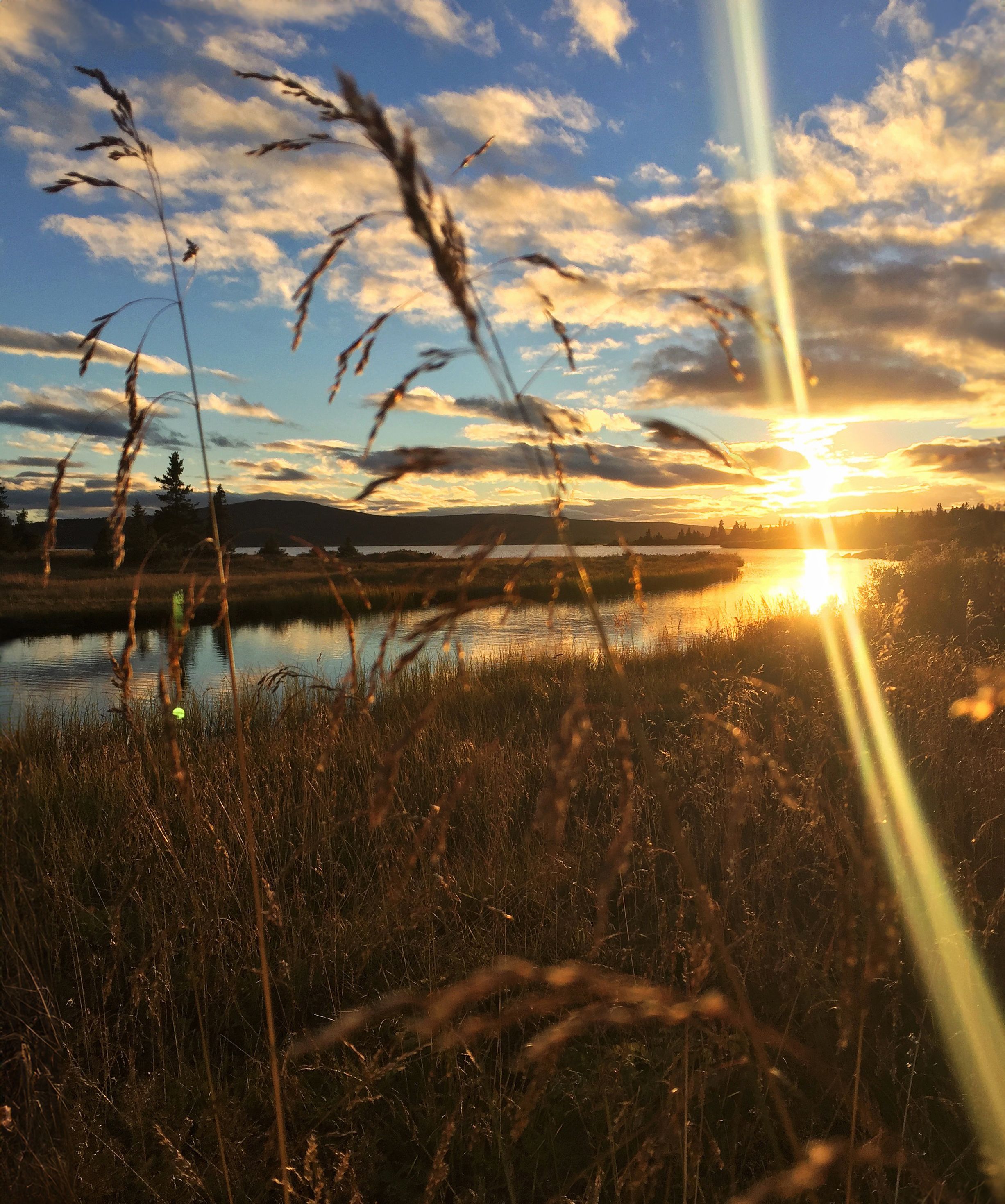Solnedgang på Golsfjellet
