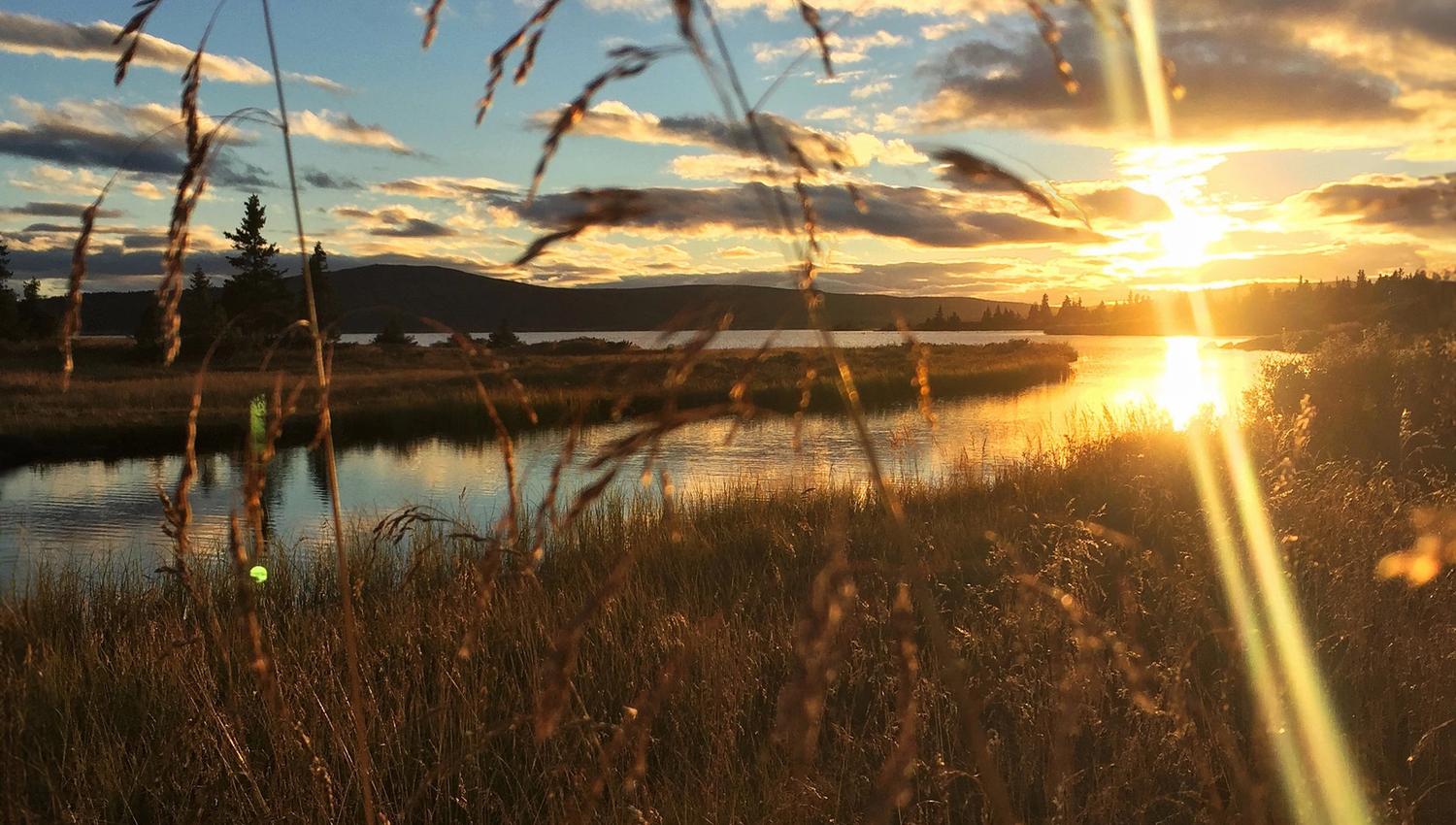 Solnedgang på Golsfjellet