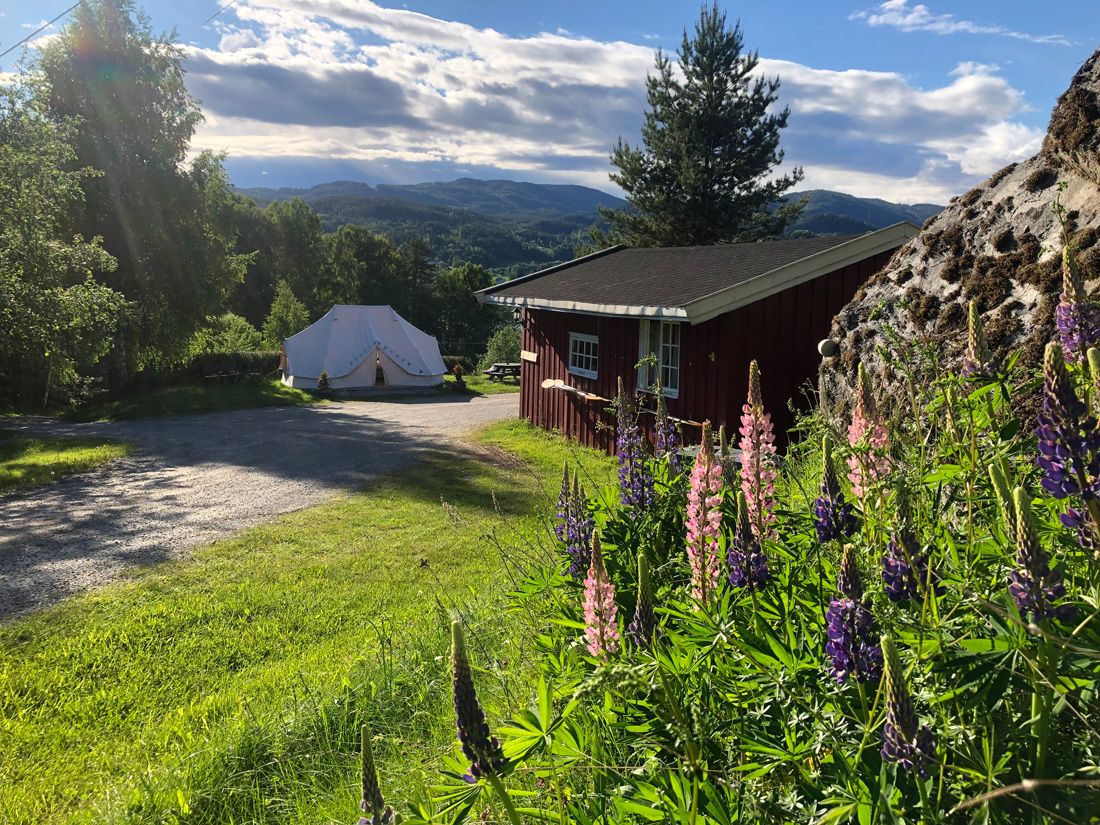 hytte og Glamping telt på Lystang Camping