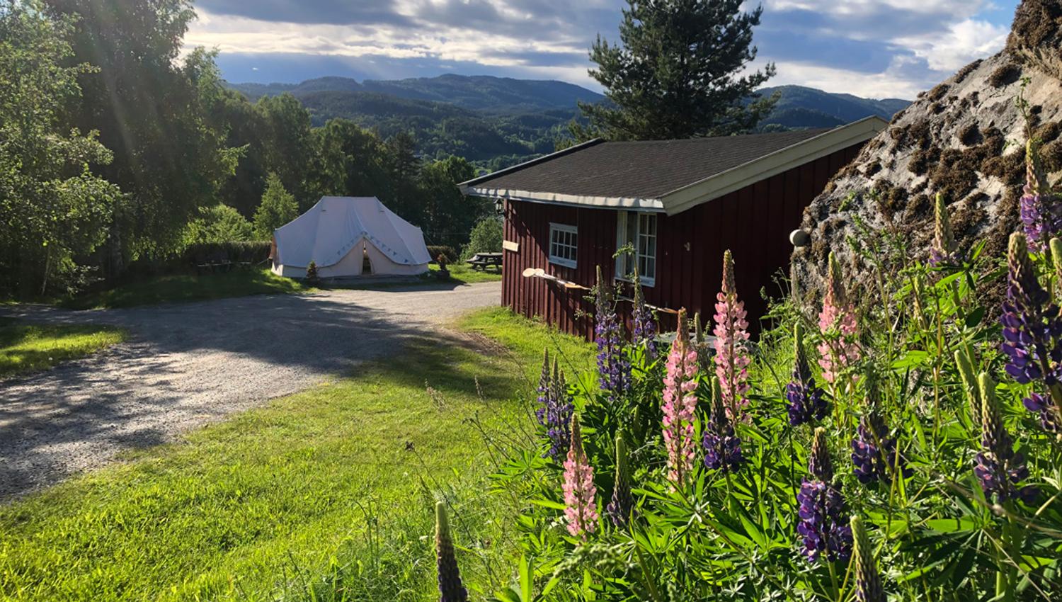 hytte og Glamping telt på Lystang Camping