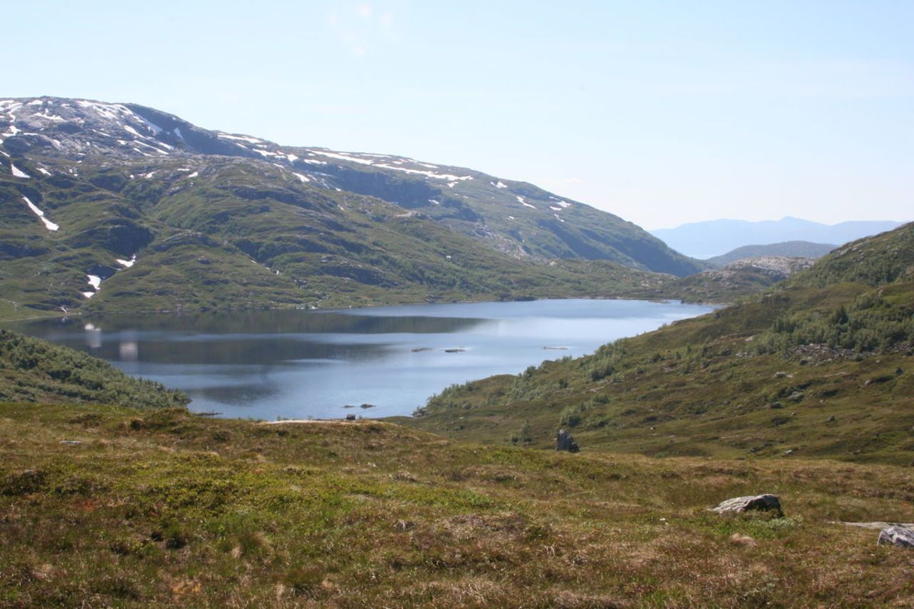 Viddalsvatnet, Sveinung Selsvik