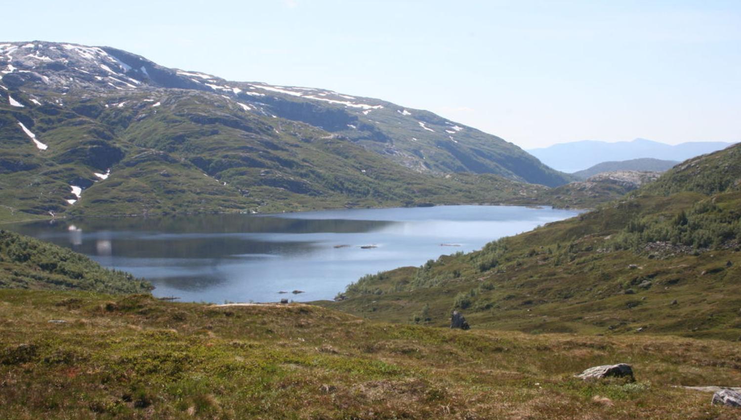 Viddalsvatnet, Sveinung Selsvik