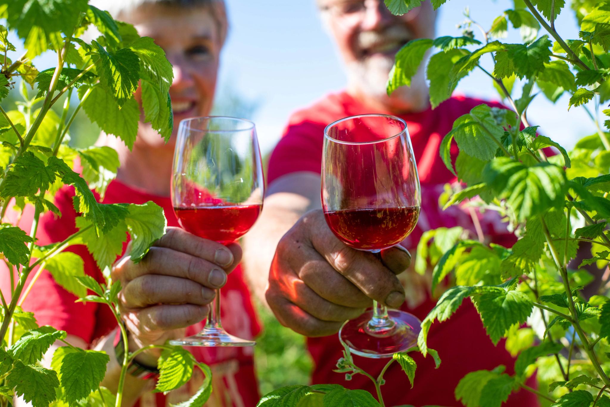 Bringebærlandet foto visitdrobakoscarsborg.no_18