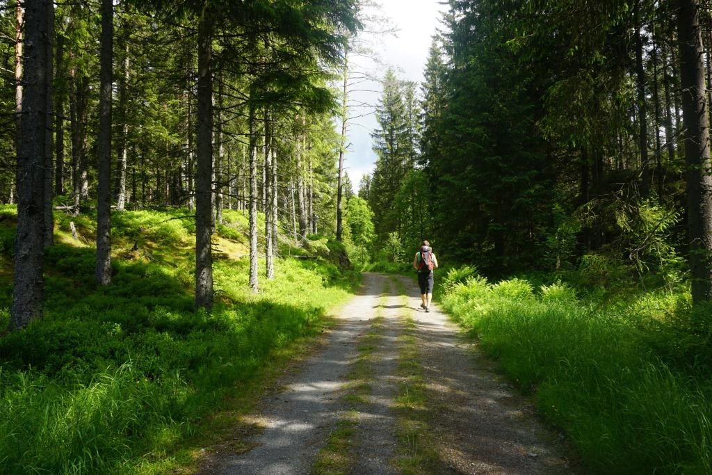 Pilegrimsleden på vei mot Fløyta