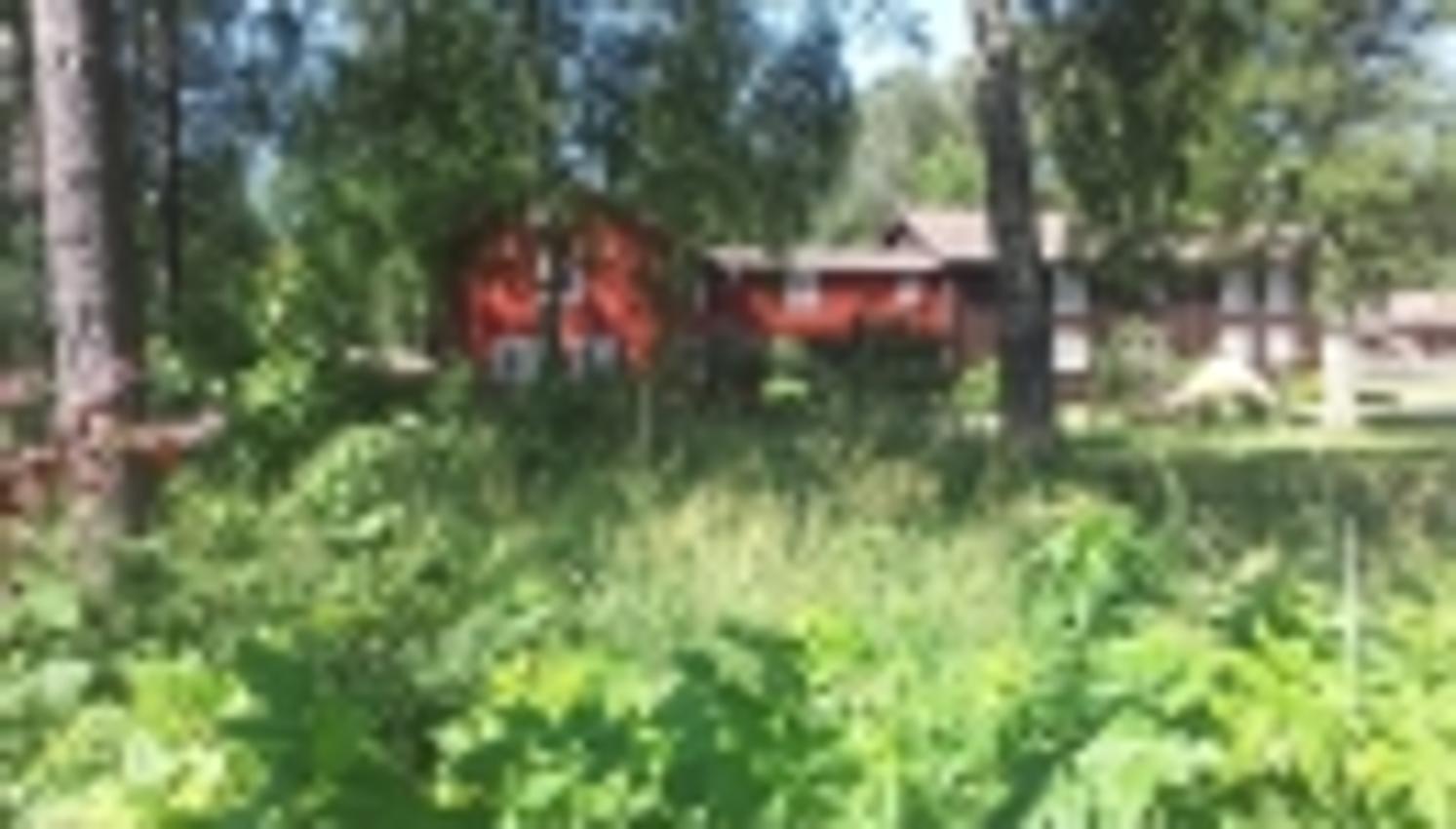 Hadeland med galleri