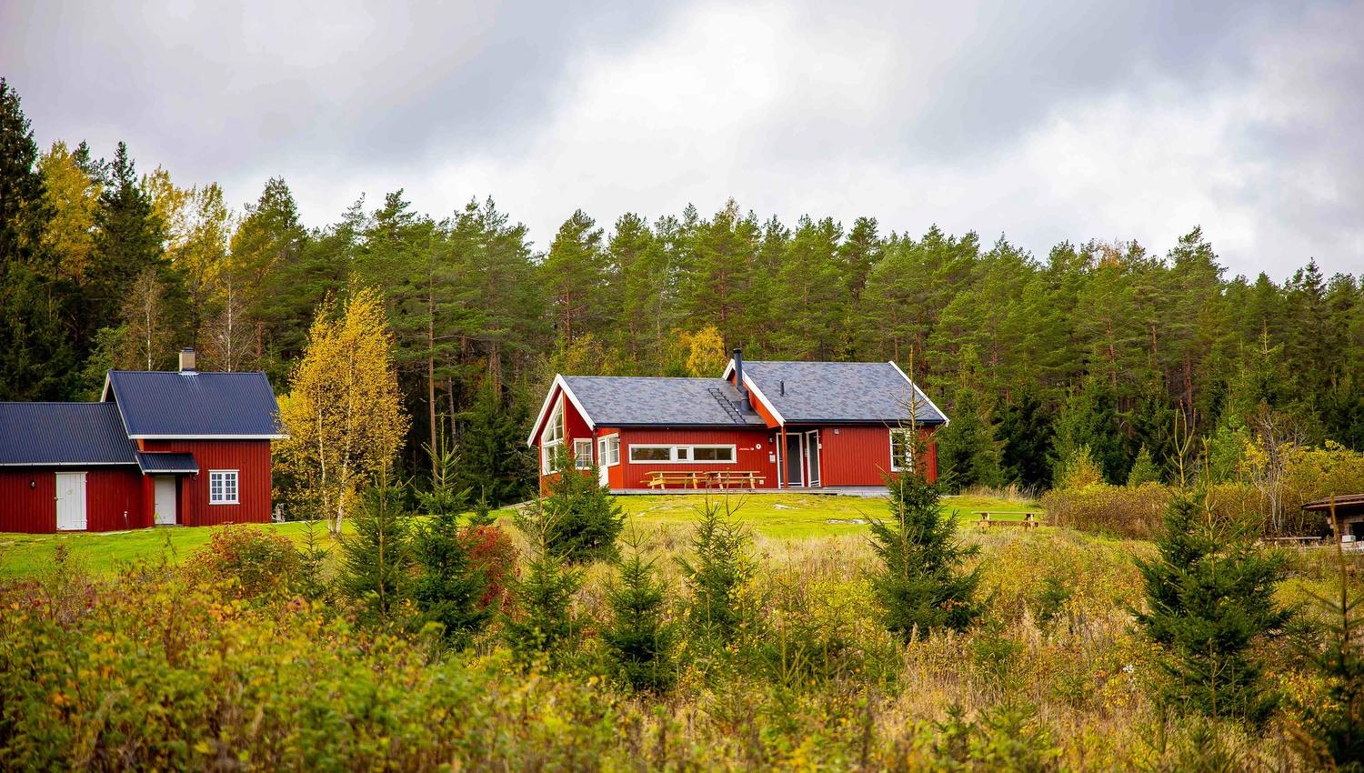 The red DNT cabin, Østtorphytta, and the surrounding forest in autumn colors. Photo.