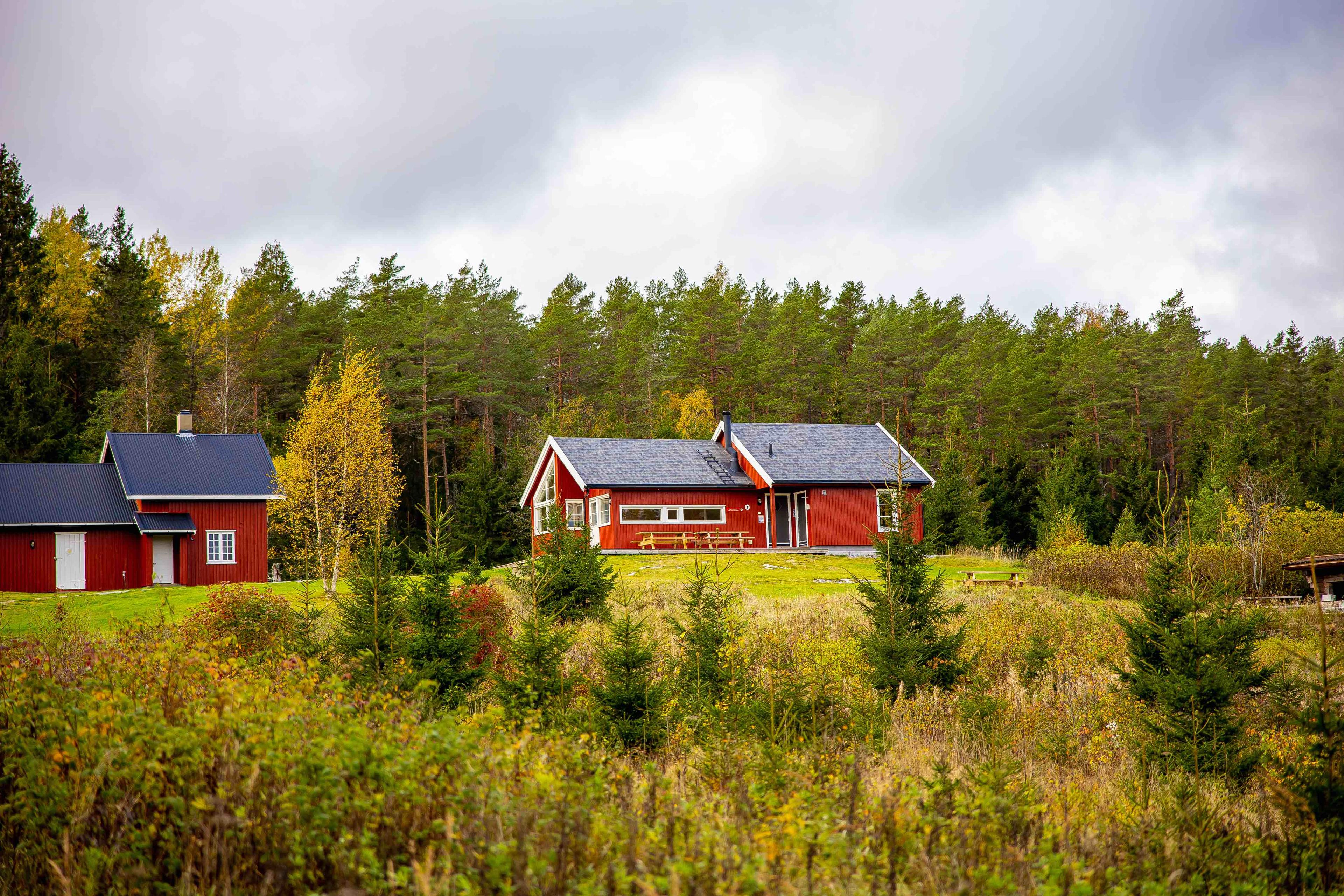Den røde DNT-hytta, Østtorphytta, og skogen rundt i høstfarger. Foto.