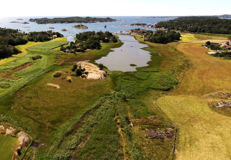 Overview of Kaupang. Green plot by the sea.