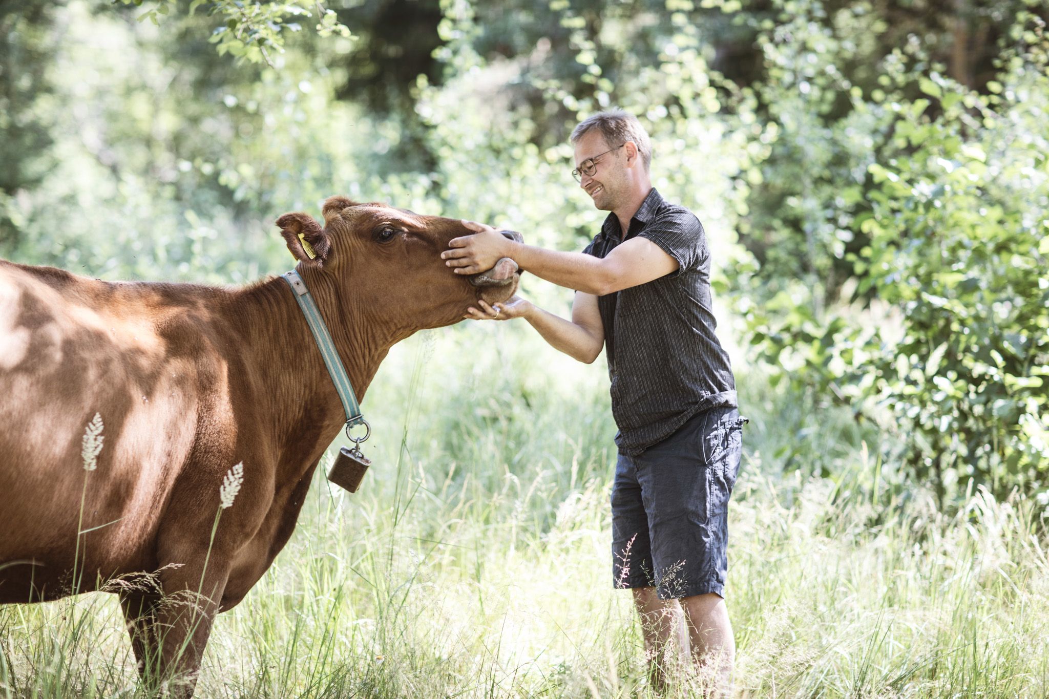 en mann som klapper en ku