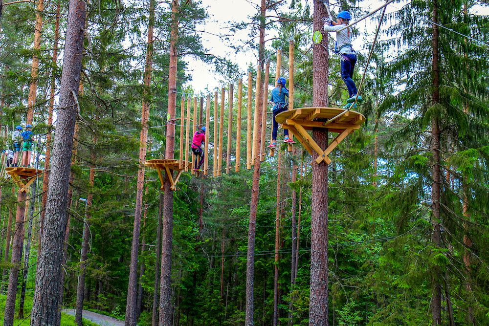 children climb high up in the trees at the climbing park High and Low in Bø in Telemark 
