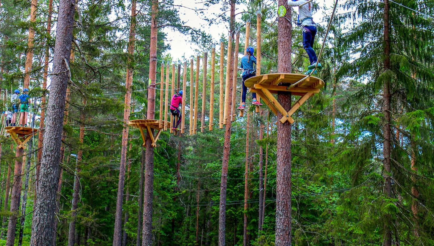 children climb high up in the trees at the climbing park High and Low in Bø in Telemark