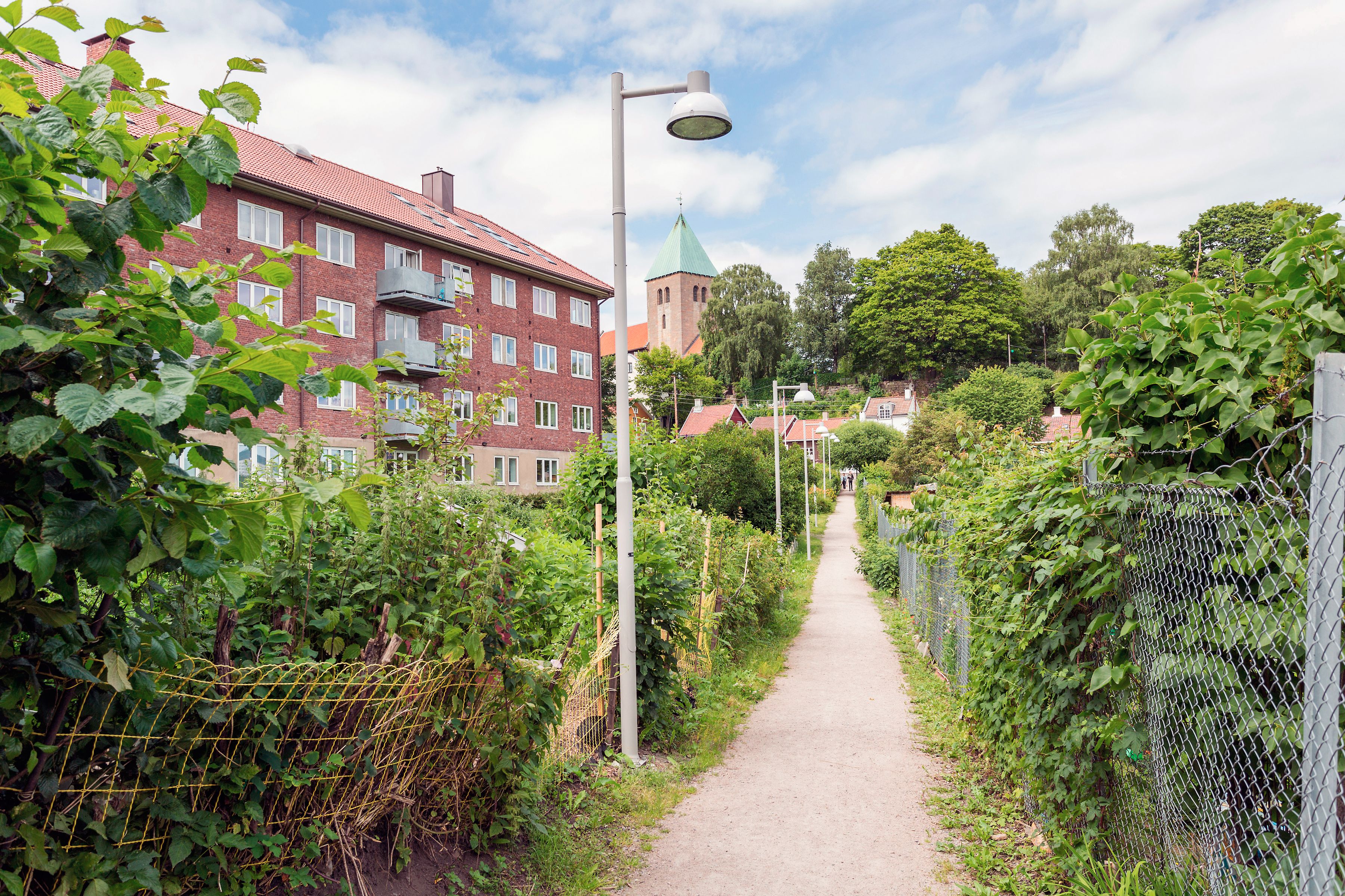 Stien gjennom kolonihagen.