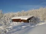 Arabu vinter1