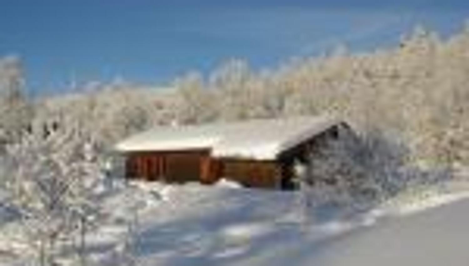 Arabu vinter1