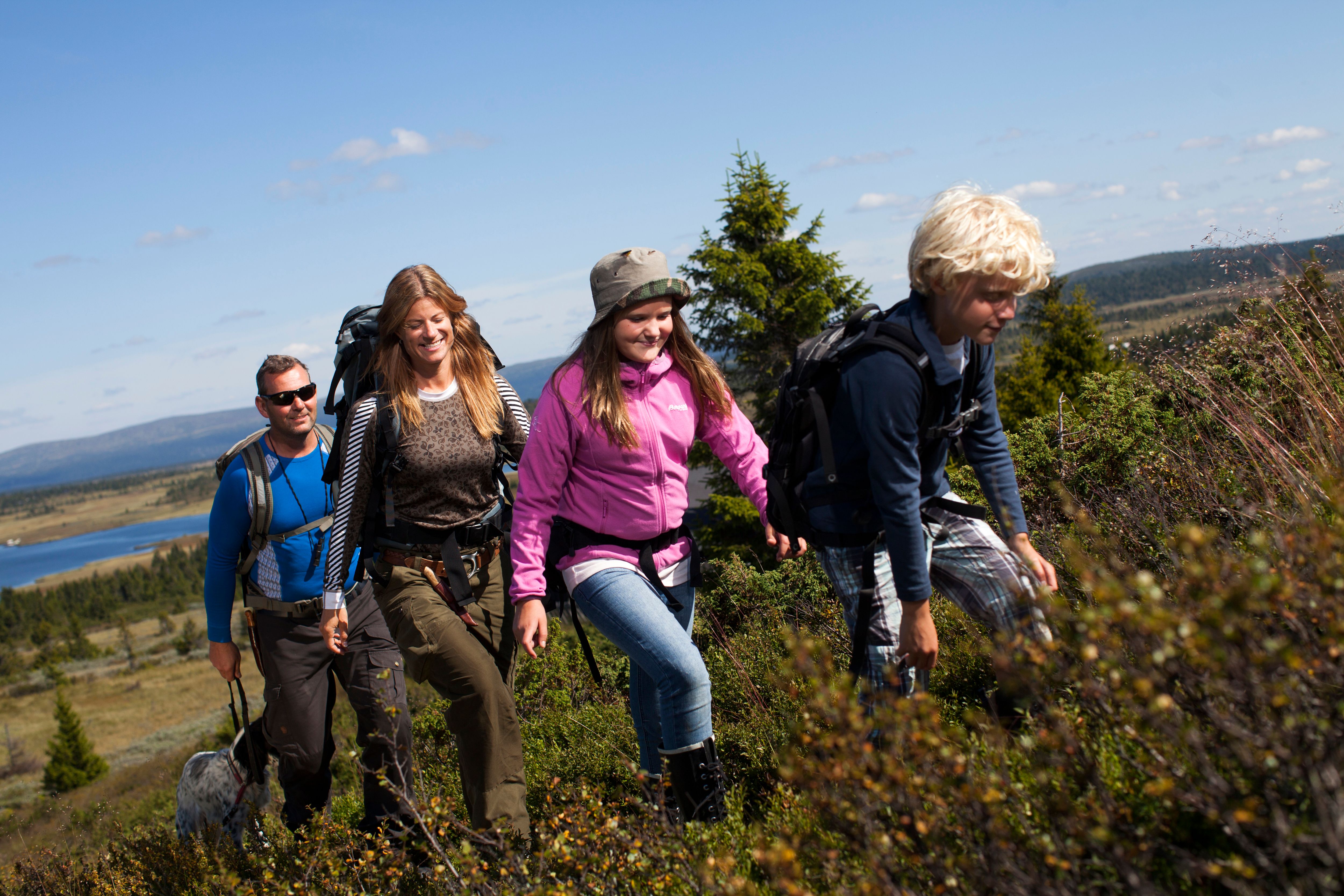Hiking at Sjusjøen