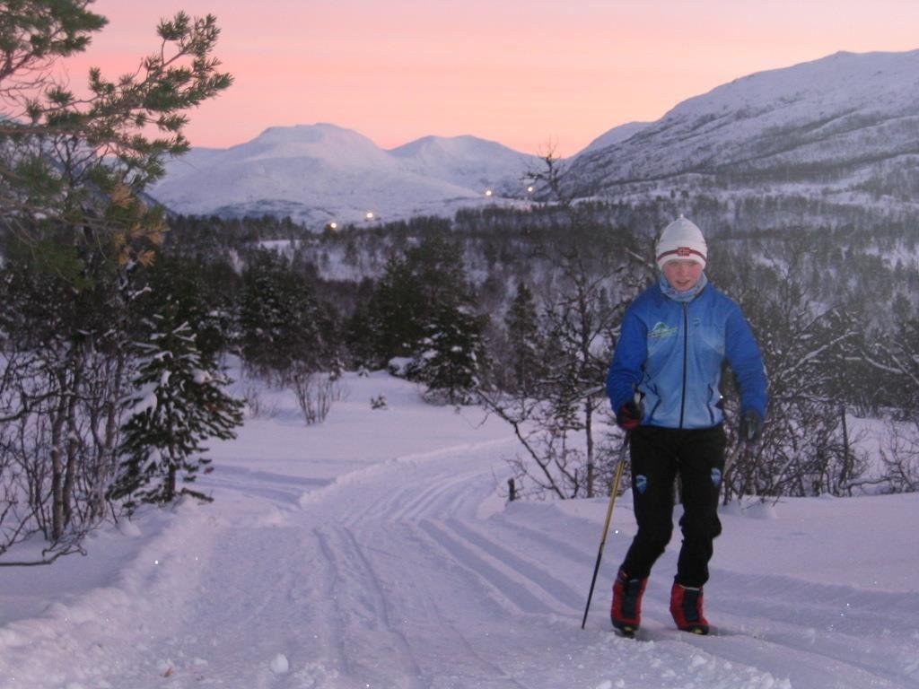 Ankenesfjellet cross-country ski trail