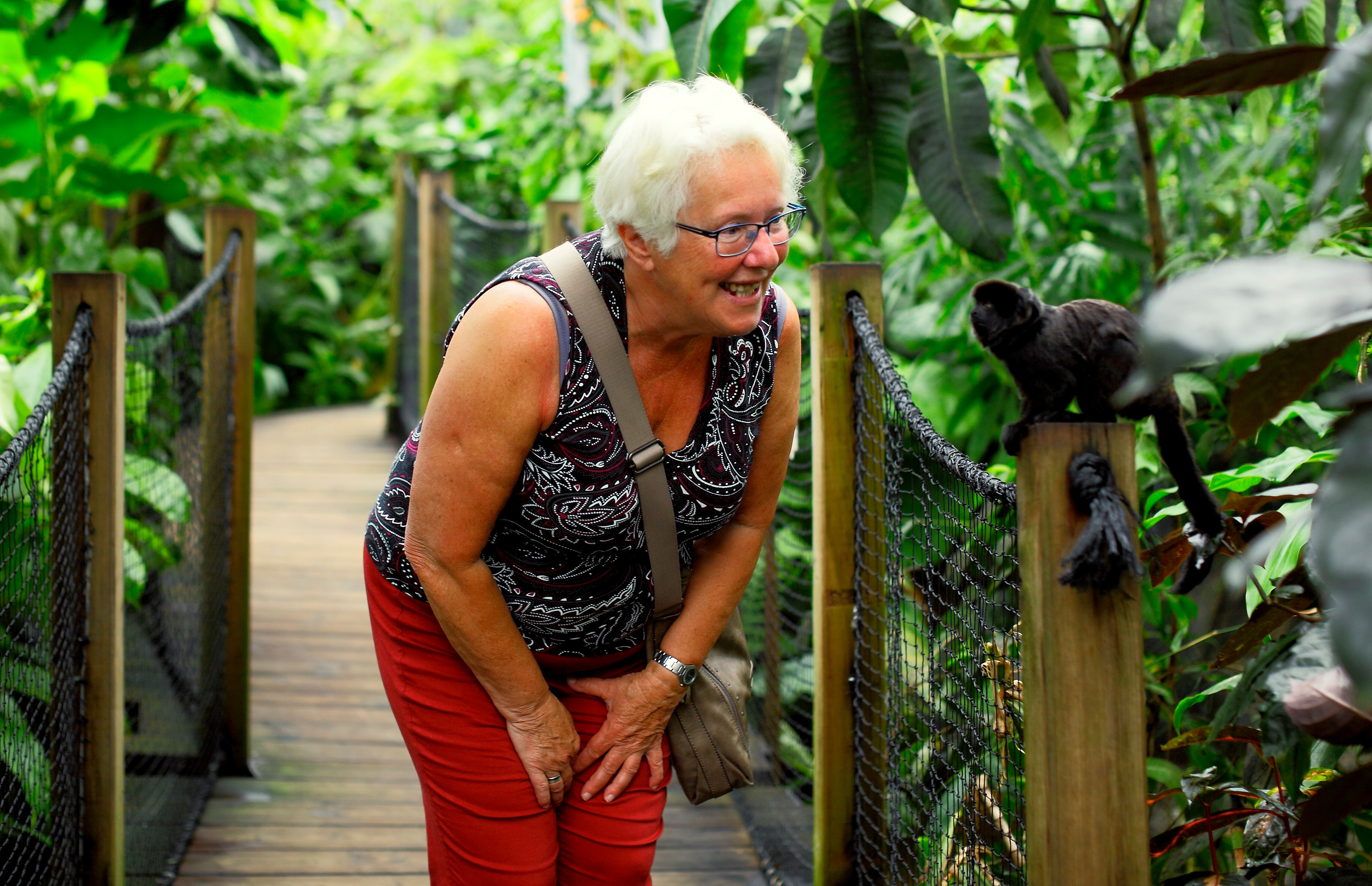 Den Lille Dyrehage apemøte