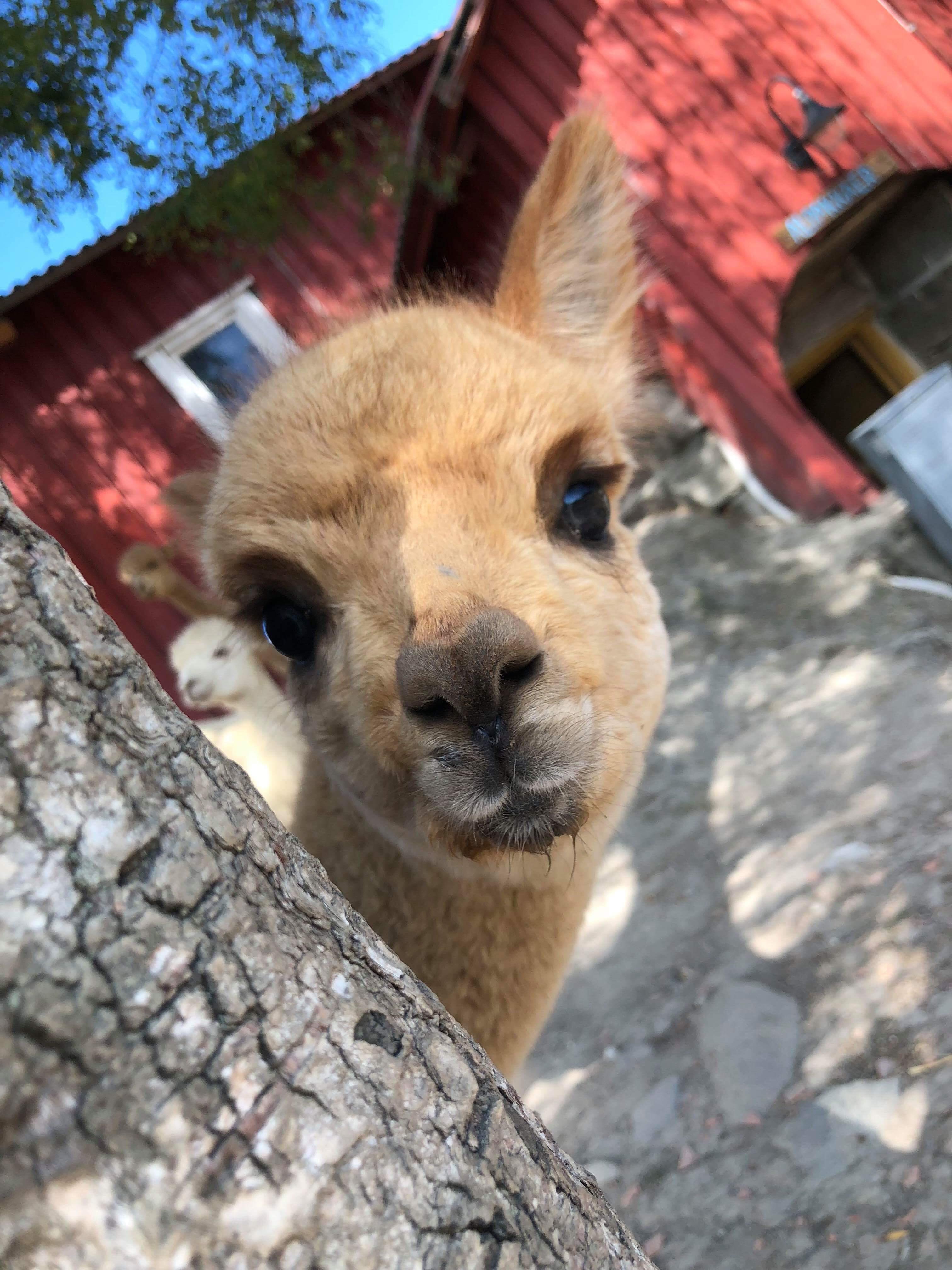 20200129_141149340_iOS