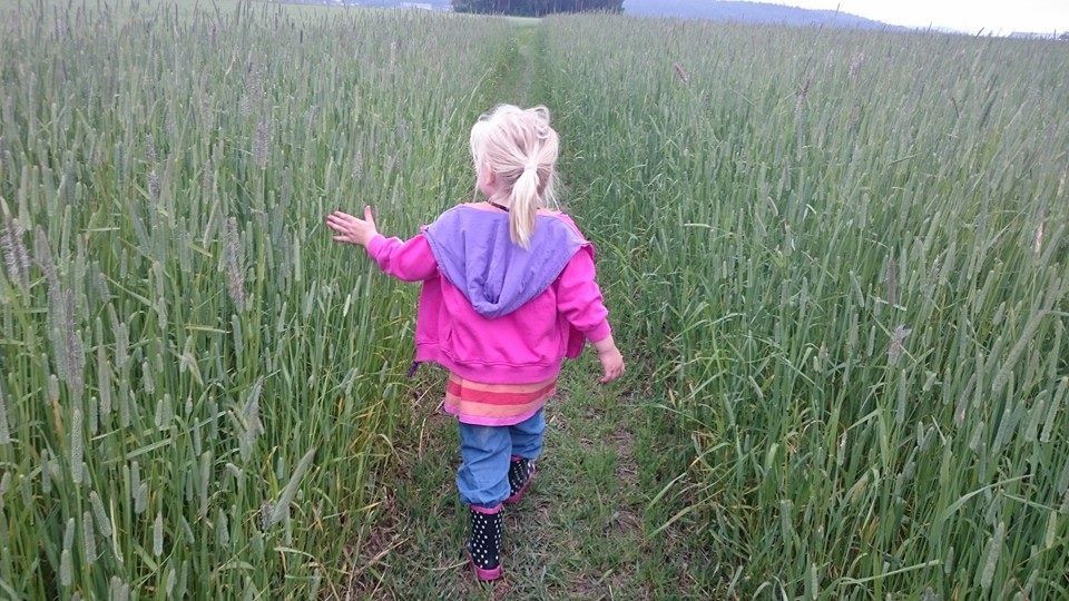Little girl walks in the green field