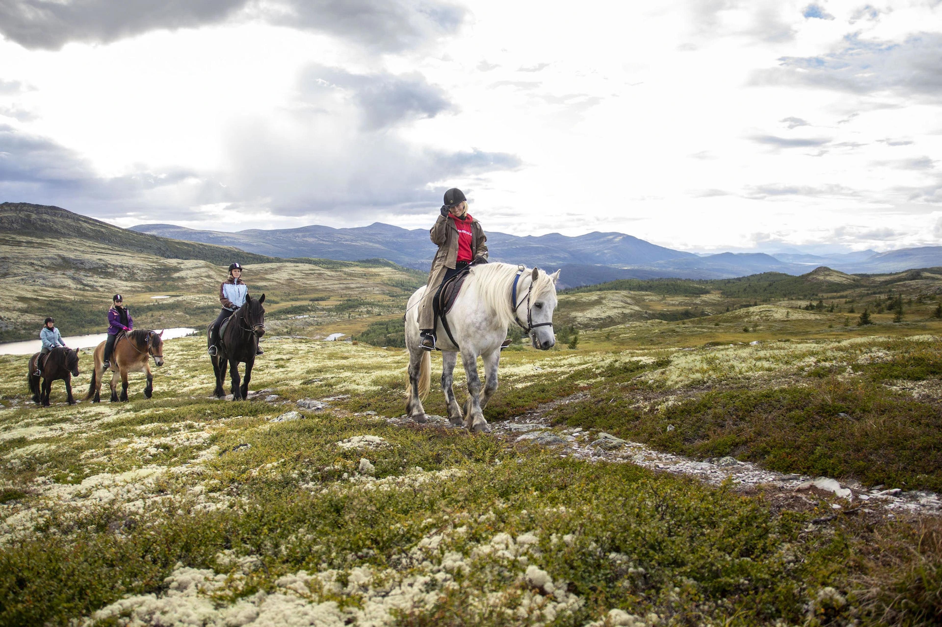 Riding in the mountains with Venabustallen
